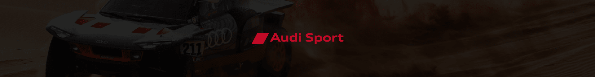 Audi Sport - Racing Fans