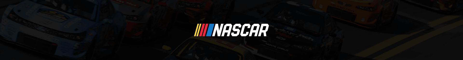 NASCAR - Racing Fans