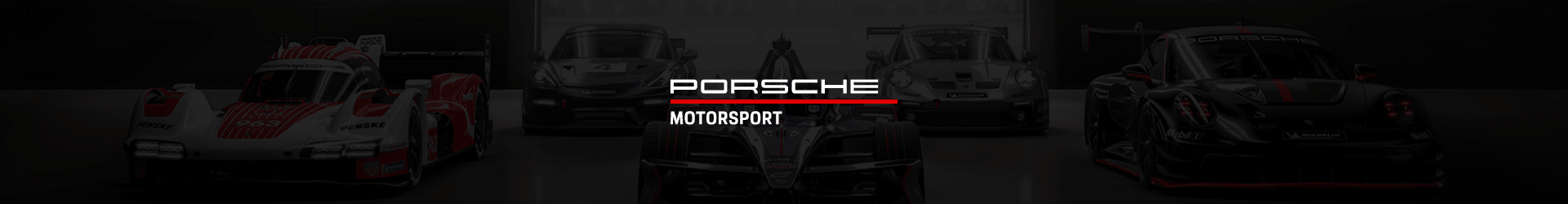 Porsche Motorsport - Racing Fans